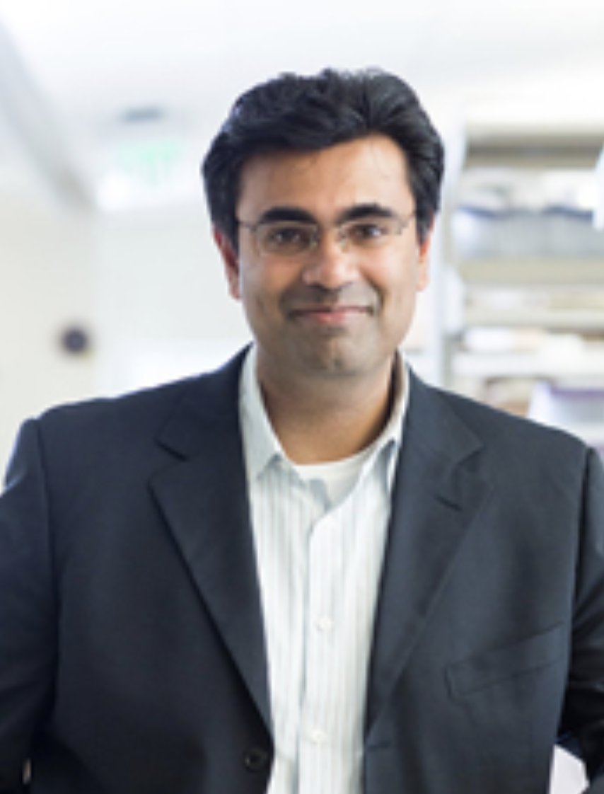 Vasanth Vedantham